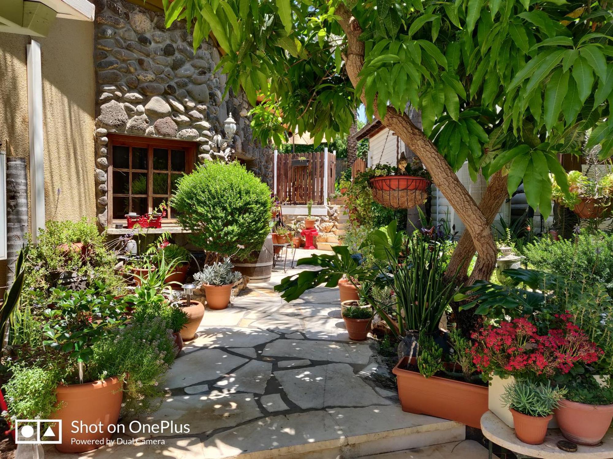 Out Of Africa Resort Had Nes Cameră foto
